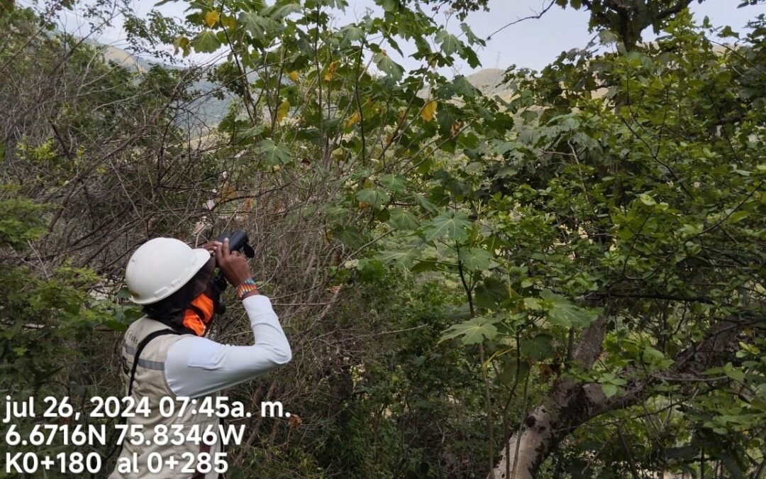 ABC Manejo de Fauna Silvestre en Obras de Infraestructura Vial